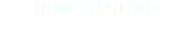 Deliciosa sopa de pollo 