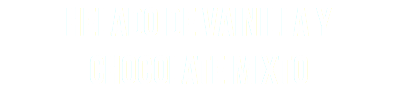 helado de vainilla y chocolate mixto
