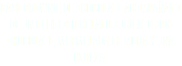 base brownie de chocolate acompañado de un delicioso helado cubierto con chocolate, mermelada de mora y una cereza.