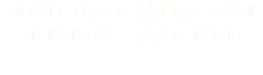 exquisito helado de vainilla acopañado de chocolate + crema+ adereso